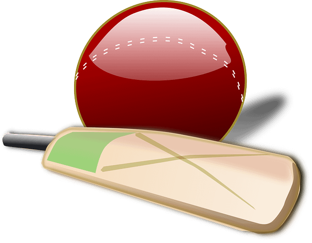 CRICKET RULES- READ TO PLAY BETTER
